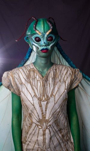 by Holly Roseveare by Holly Roseveare