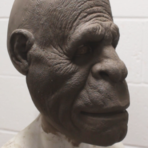 Sculpting Bigfoot