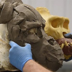 SC003-Sculpting-a-Mountain-Gorilla-in-WED-Clay-for-an-Animatronic-Mask-600x370 SC003-Sculpting-a-Mountain-Gorilla-in-WED-Clay-for-an-Animatronic-Mask-600x370