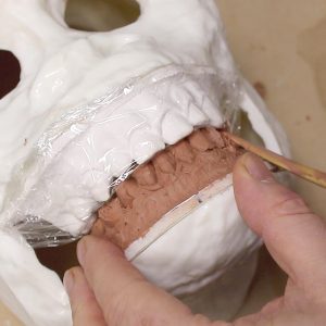Thumbnail - Sculpting Creature Teeth for Homo Habilis