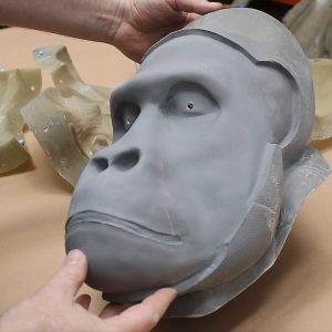 Thumbnail - Mountain Gorilla Creating the Core Mould
