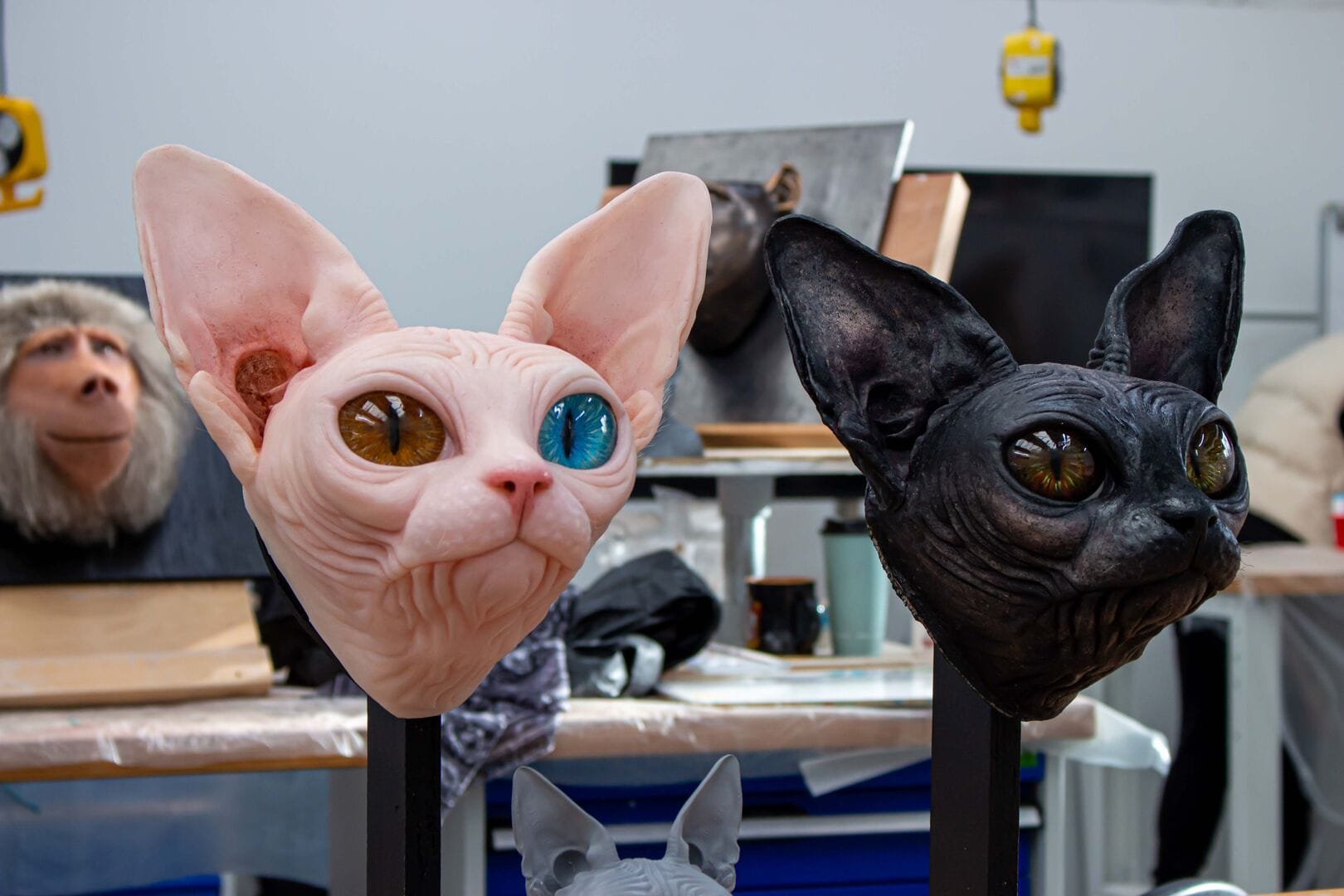 Prosthetic Effects MA 89 - Gorton Studio